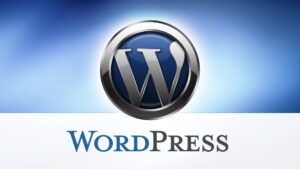 Read more about the article WordPress podstawy